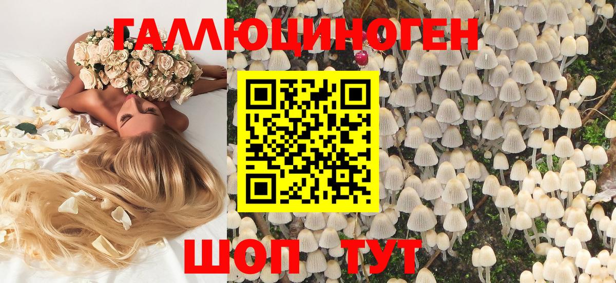 Галлюциногенные грибы мухоморы Майкоп