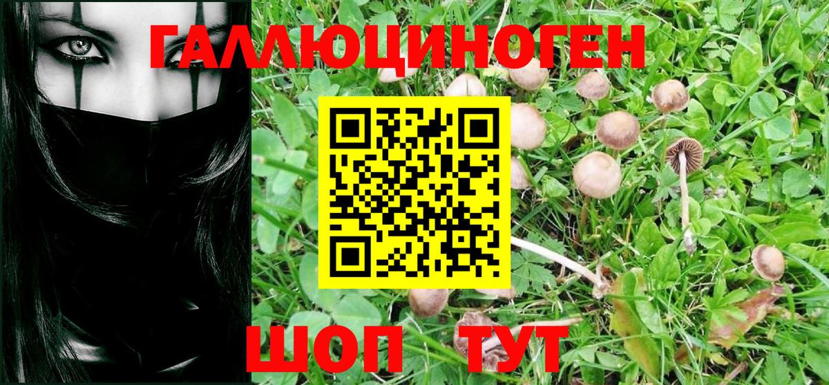 ГЕРОИН Майкоп