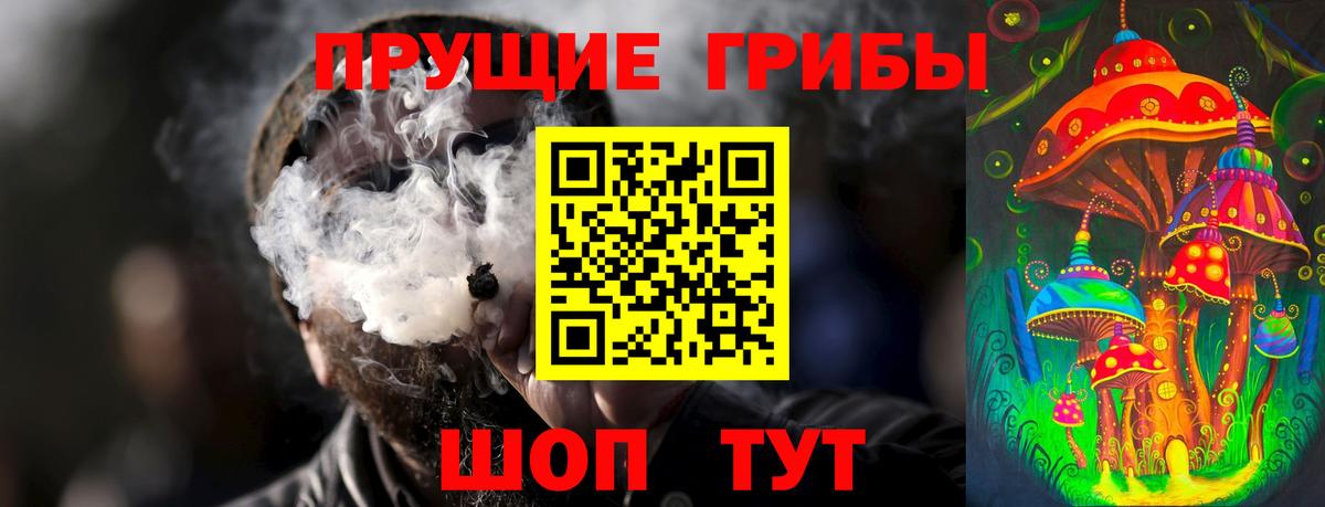 Псилоцибиновые грибы Psilocybine cubensis  Вход с VPN  Майкоп 